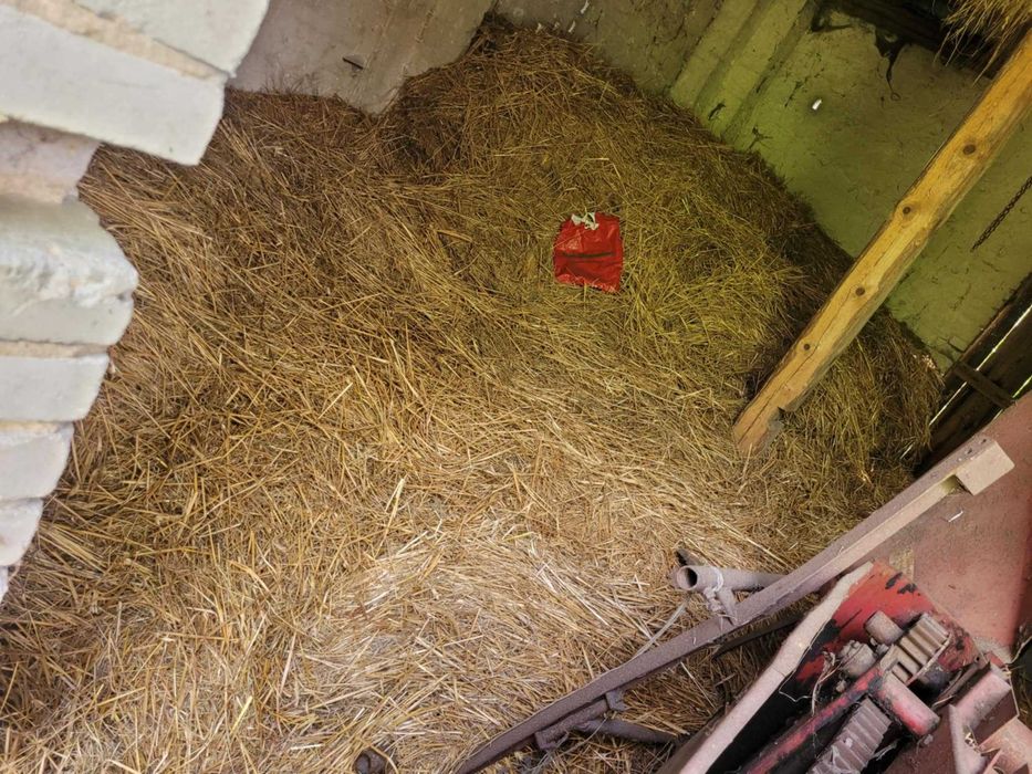 Słoma i siano za darmo