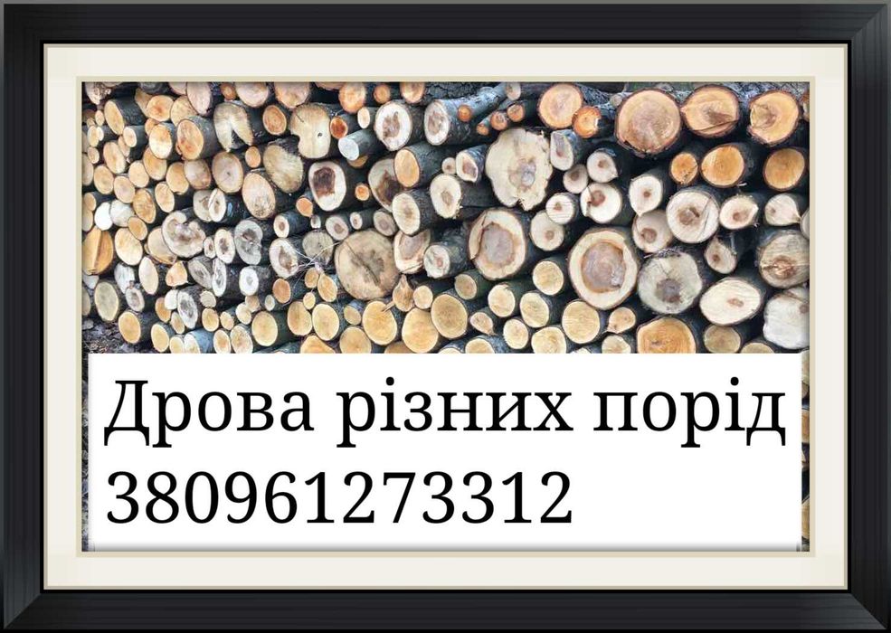 Дрова різних порід(дуб,граб,ясен,вільха,береза,сосна)Недорого!