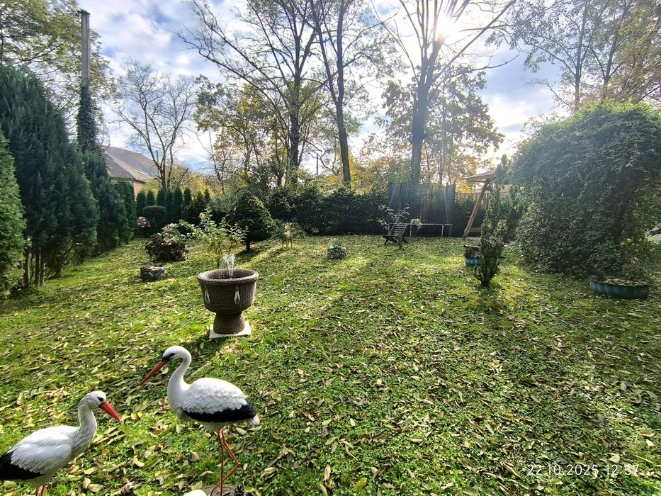 Відпочинок в Поляні . оренда житла.