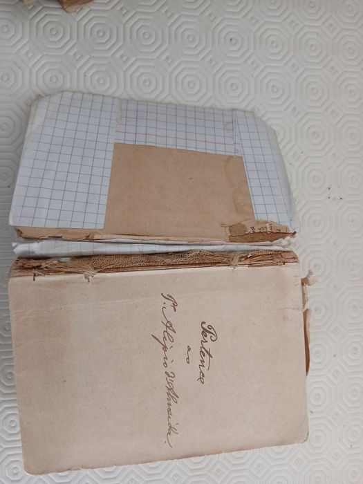 Dicionário de Língua Portuguesa