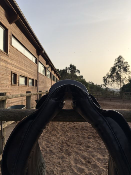 Passier Optimum 17,5” (Dressage/Ensino)