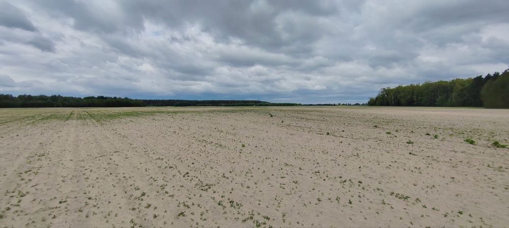 Земельна ділянка 27 га! Андріївка.