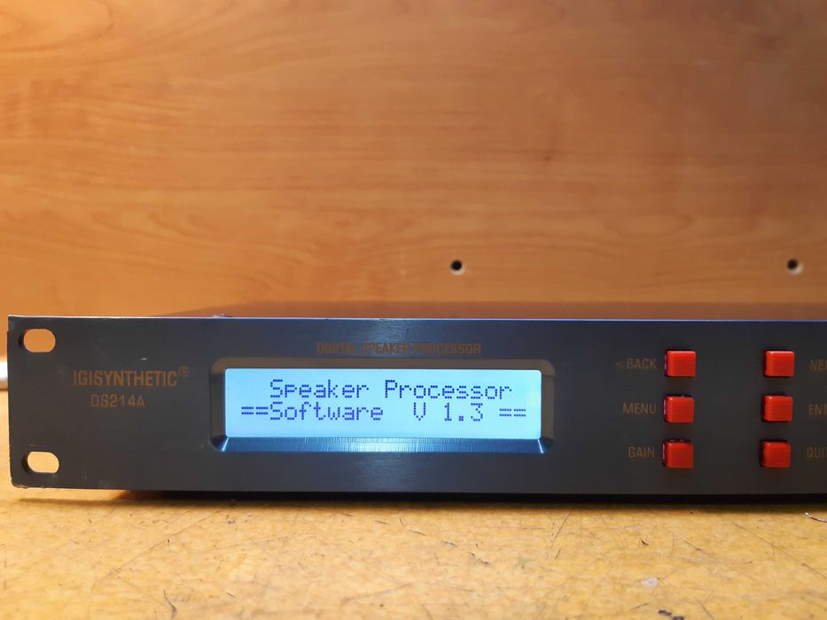 IGISYNTHETIC DS214A Digital Speaker Processor