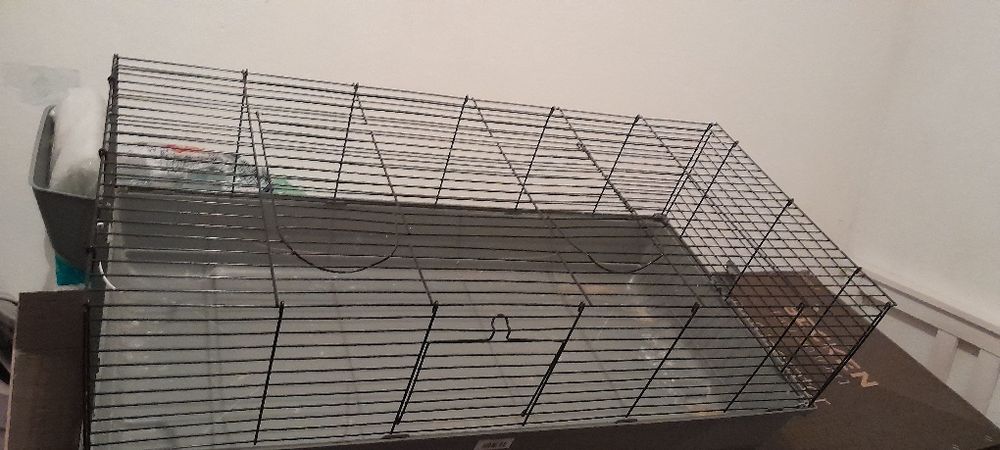 Kit completo de um coelho