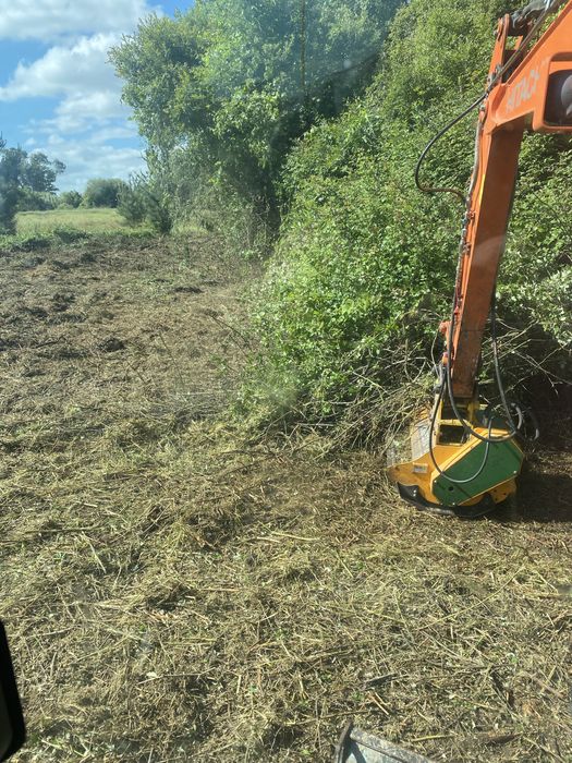 Prestação de serviços  Limpeza de terrenos