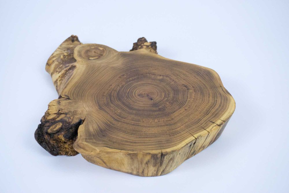 Patera do serwowania z akacji