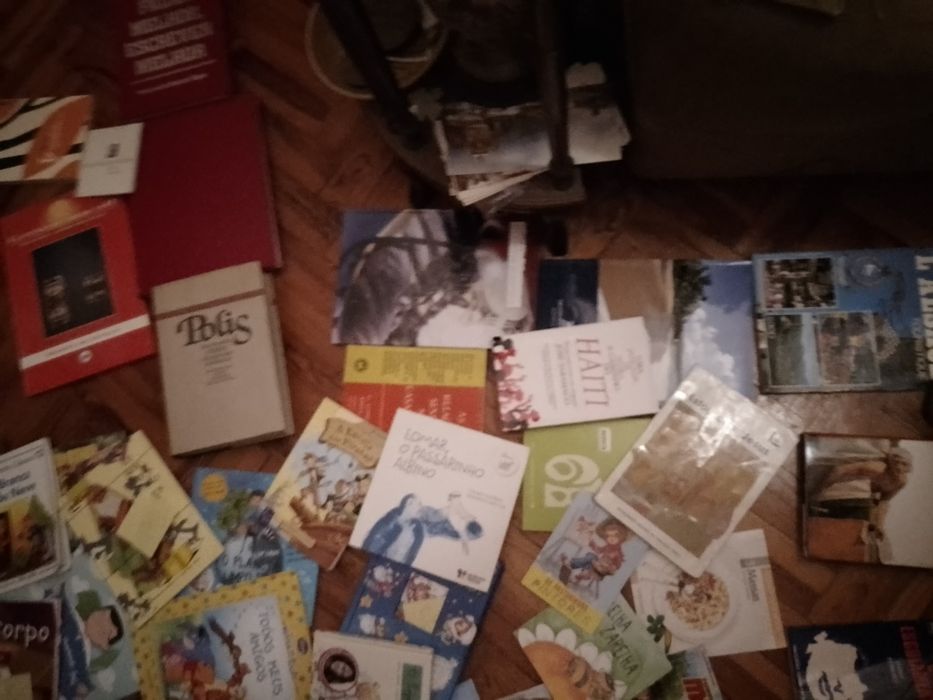 Grandes Saldos Saramago/outros raros/BD juvenil e muitos mais Desde 2E