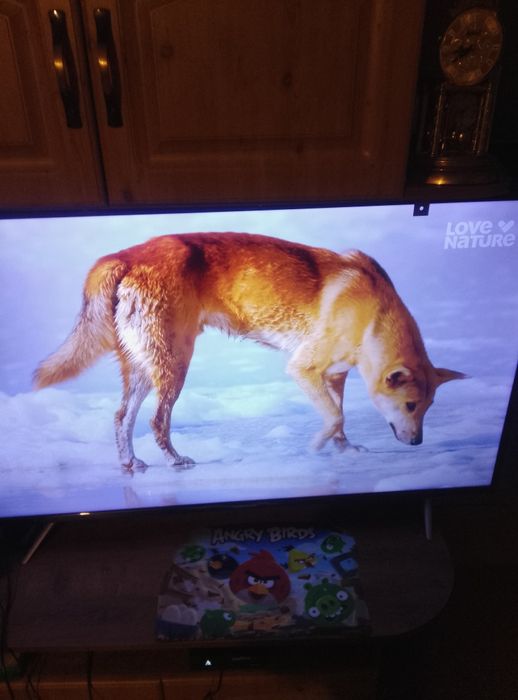 Telewizor 55cali Thomson