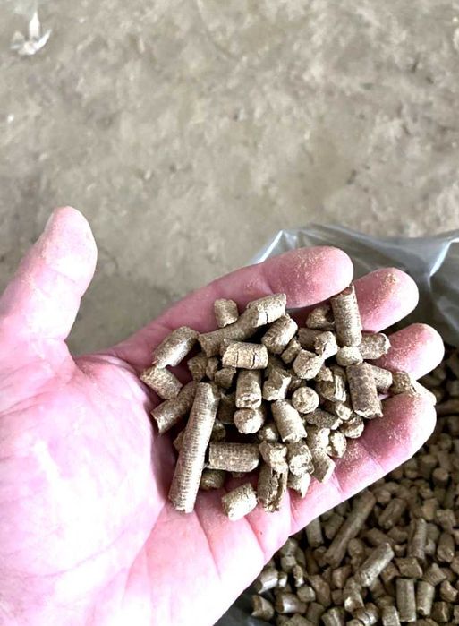 Вугілля, брикети, пелети без ризиків для опалення