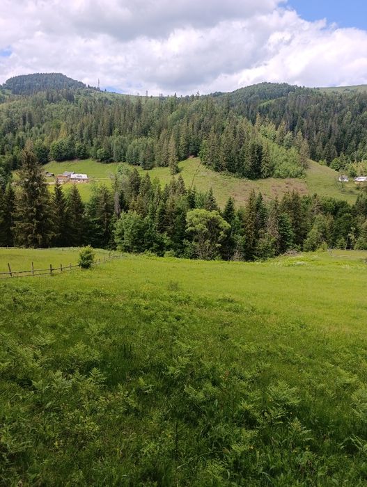 Земельна ділянка 0,63 га в Карпатах | Снідавка, Косівський район | 35 000 $