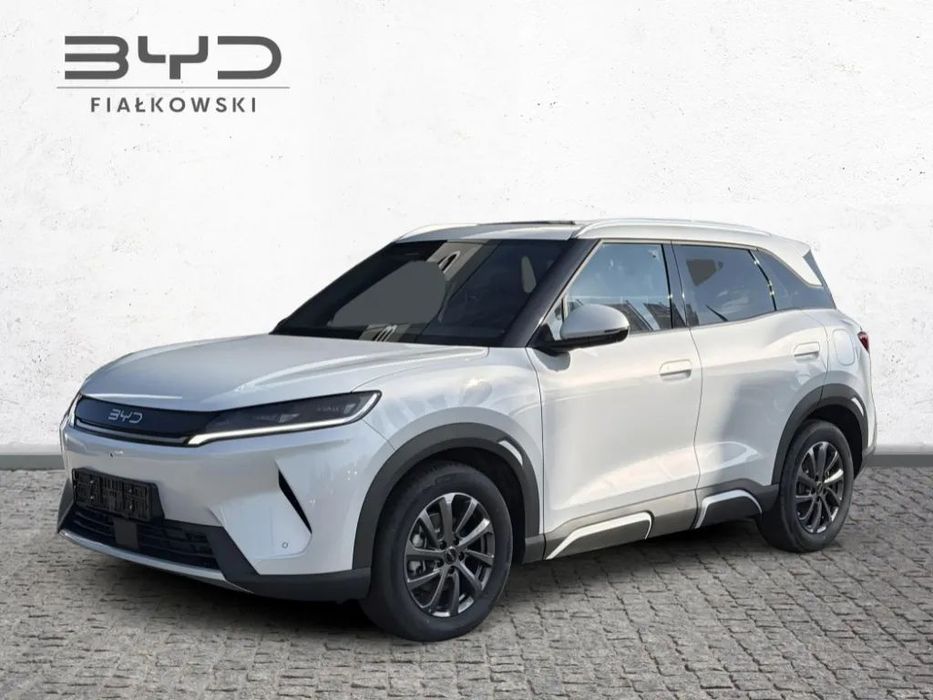 BYD Pozostałe BYD