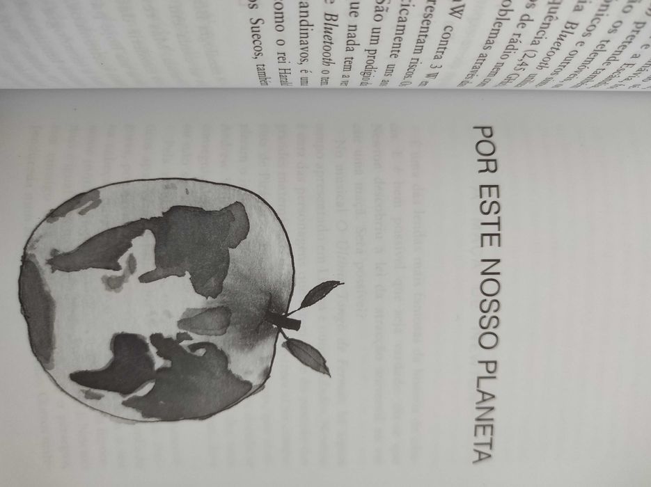 Livro "Passeio Aleatório (pela ciência do dia-a-dia)" de Nuno Crato