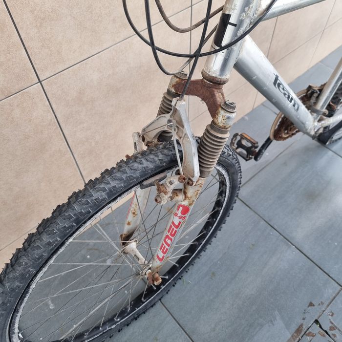 Bicicleta adulto