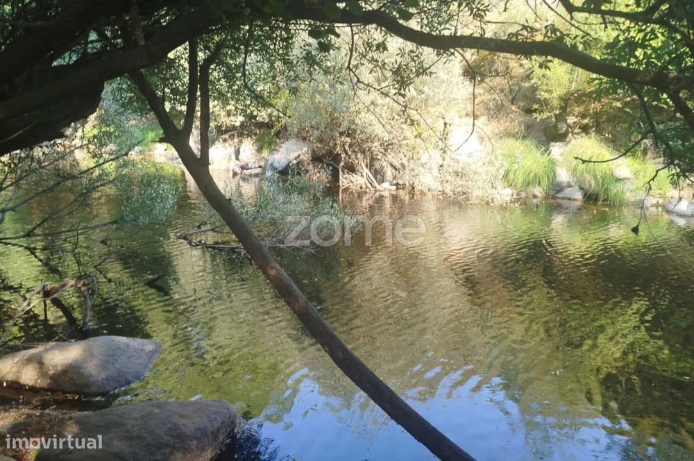 Quinta Única Encostada ao Rio Mondego – Um Refúgio Natural de Sonho...