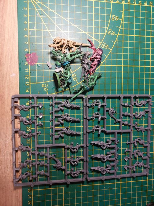 Warhammer 40k Tyranids Termagants/Hormagaunts zestaw