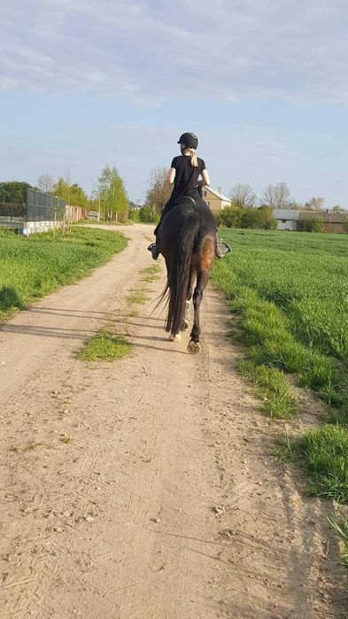 Jazda konna Pułtusk