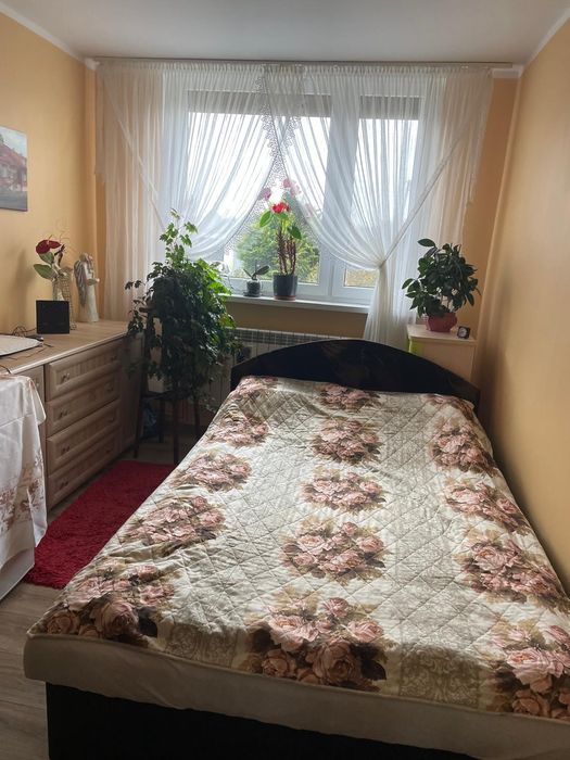 Mieszkanie – Wąsosz, powiat górowski - Więcej