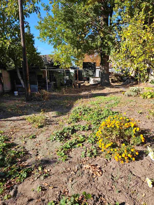 Продаж будинку 100 м2  8 соток під реставрацію Холодна Гора 1 км