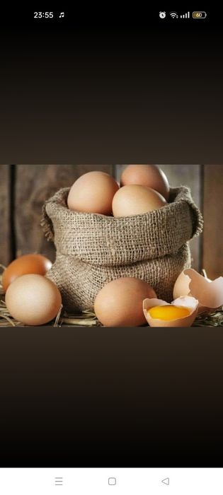 Tenho ovos caseiros