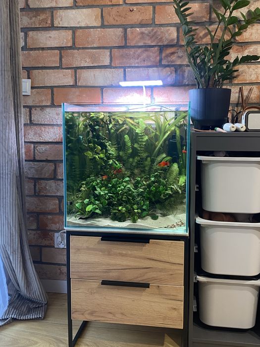 Akwarium kostka full Optiwhite 50x50x50 125 litrów