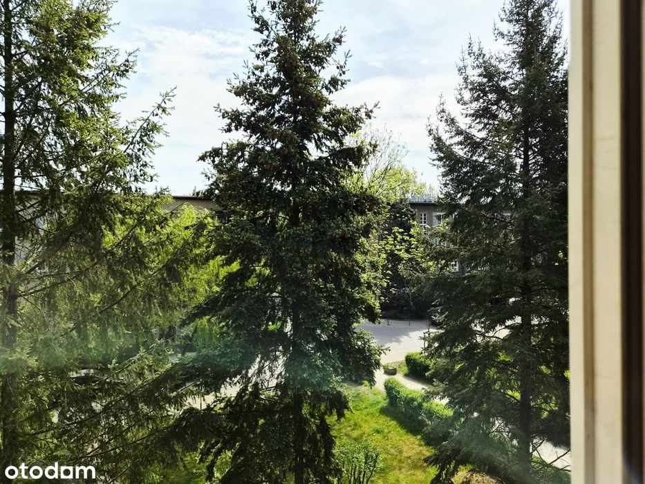 Klimatyczne 3 pokoje - Księże Małe - Widok 2