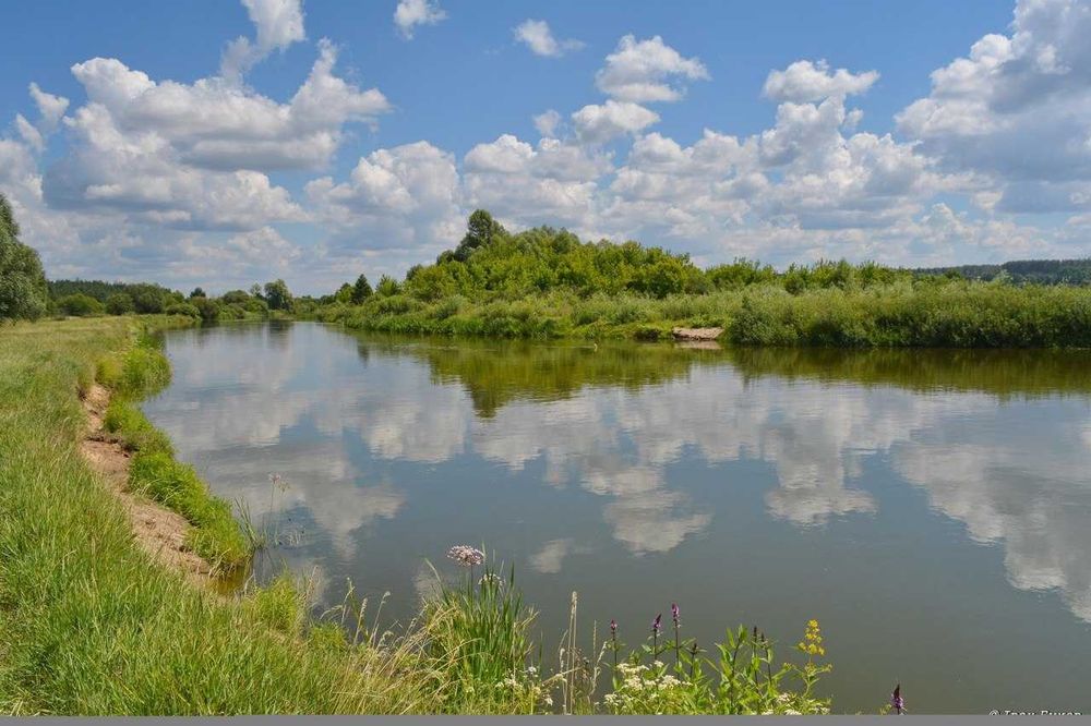 Садова ділянка на річ.Тетерів , хутір Коленцівській, поблизу Іванкова.