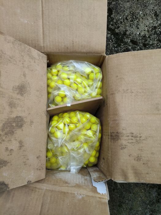 Paintball marker479259939769559042