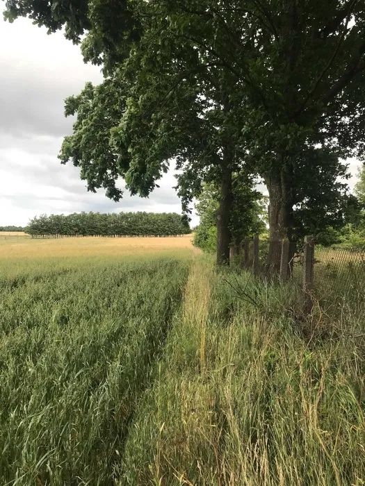Działka budowlana nad morzem (k. Jarosławca)