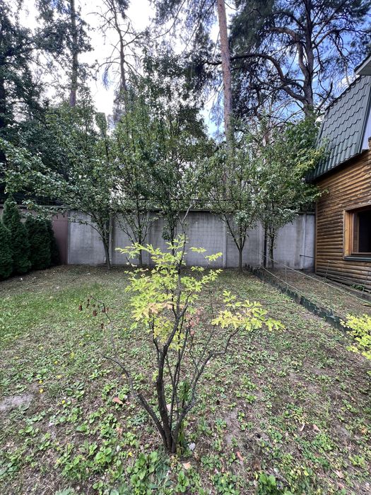 Здам будинок для сімʼї з виходом до води