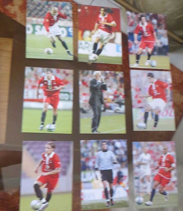 Coleção Completa  23 postais do Plantel do Benfica - Época 2004 / 2005