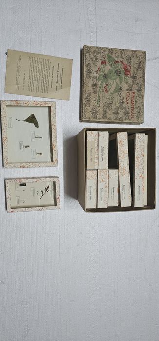 Коллекция учебная насекомые и вредители