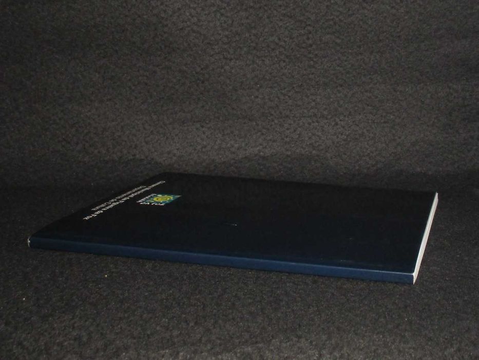 Livro Figueira Um Século de Pintura Teresa Folhadela Isabel Henriques