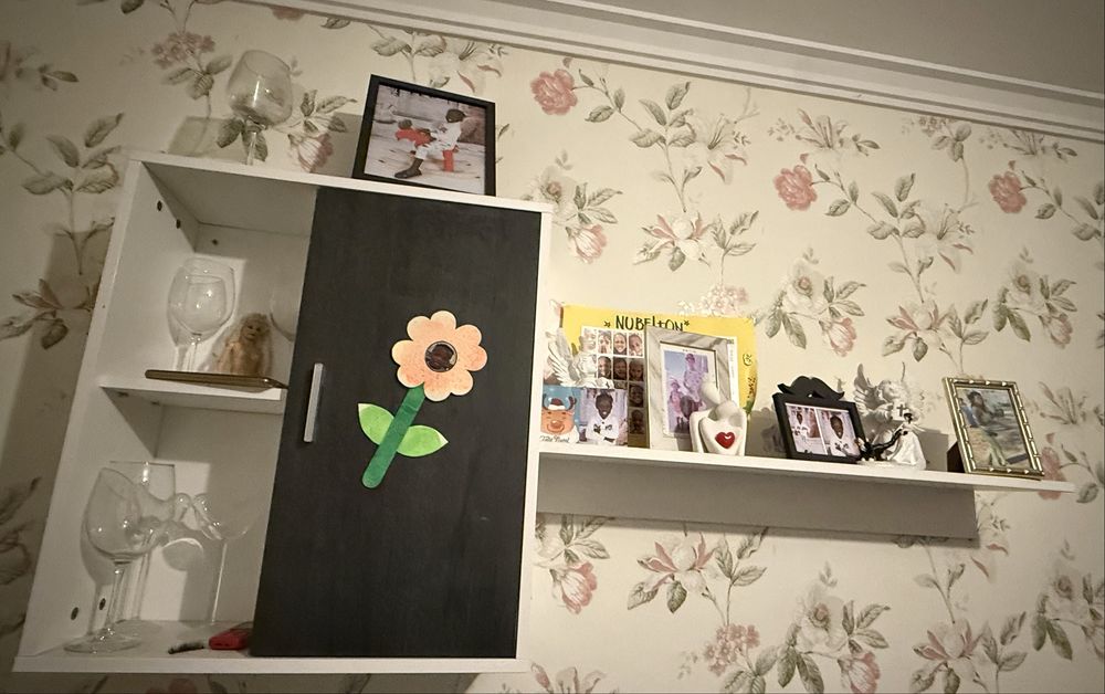 Armario da sala, guarda roupa e beliche