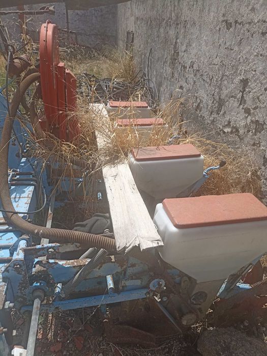 Semeador de linhas para girassol