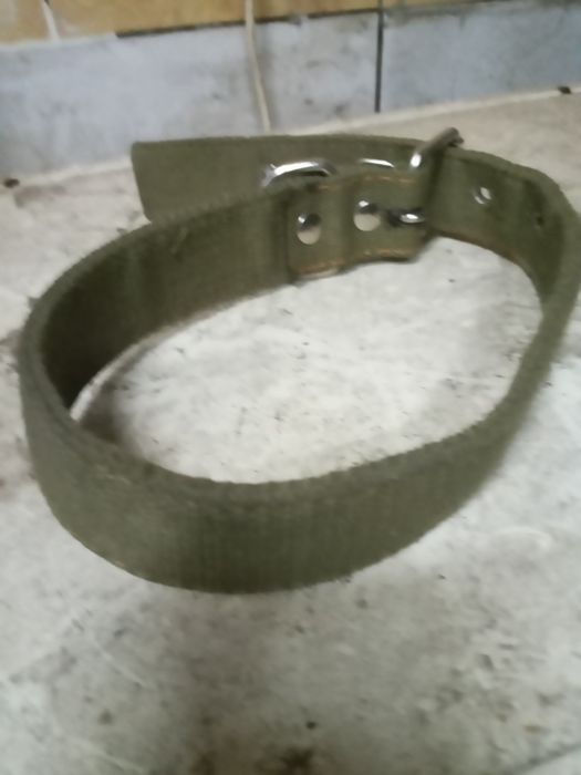 Ошейник собачий. Новый.