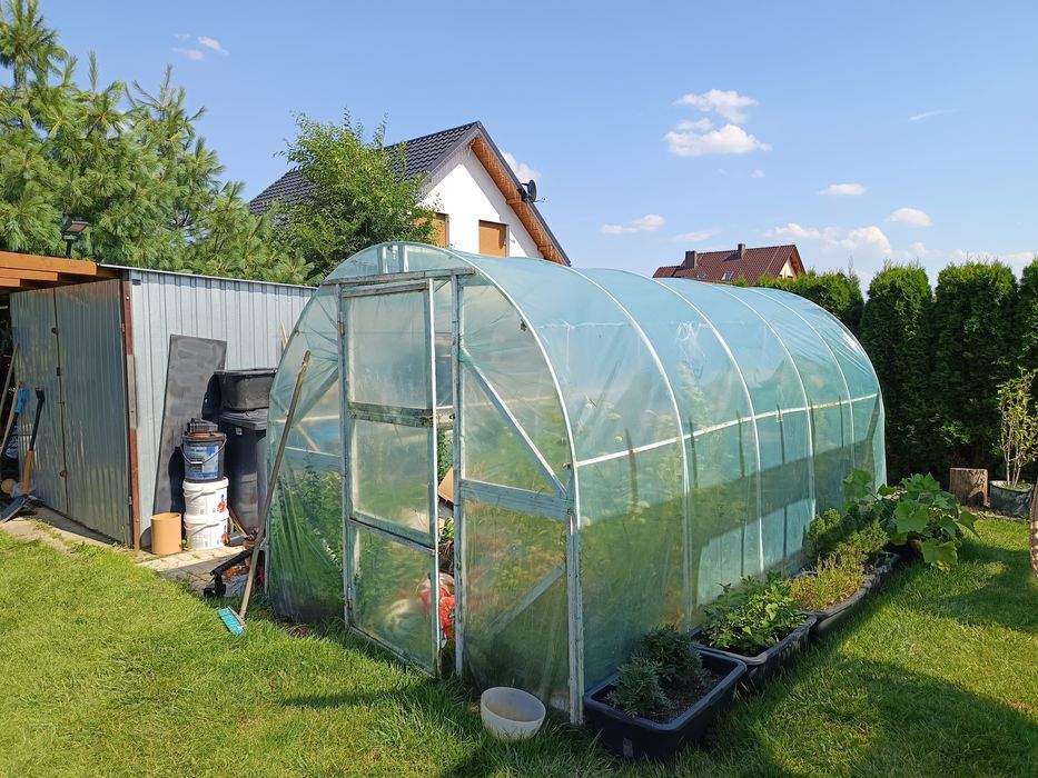 Szklarnia tunel foliowy