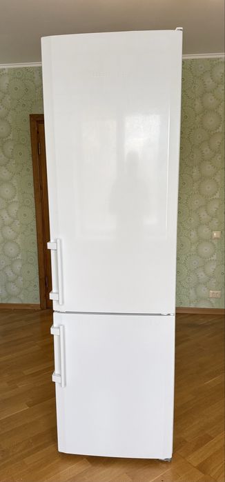 Холодильник Liebherr CBN 3913