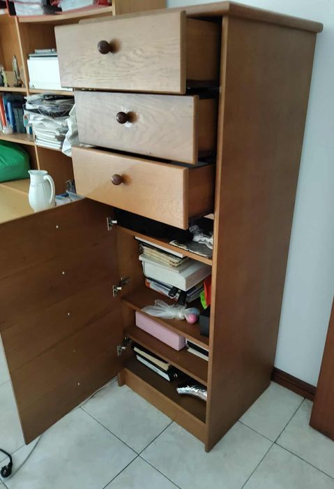 Camiseiro de cerejeira