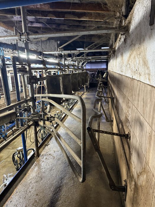 Hala udojowa delaval rybia ość 2x6 gea westfalia lely