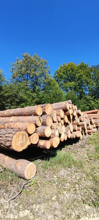 Drewno tartaczne Jodła Sosna