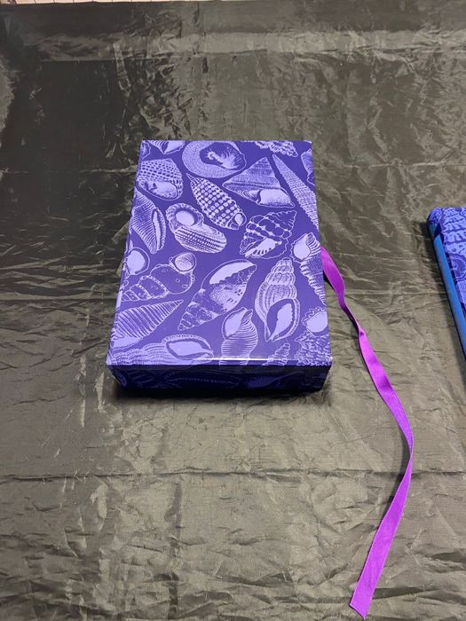 2 livros de coleção conchas