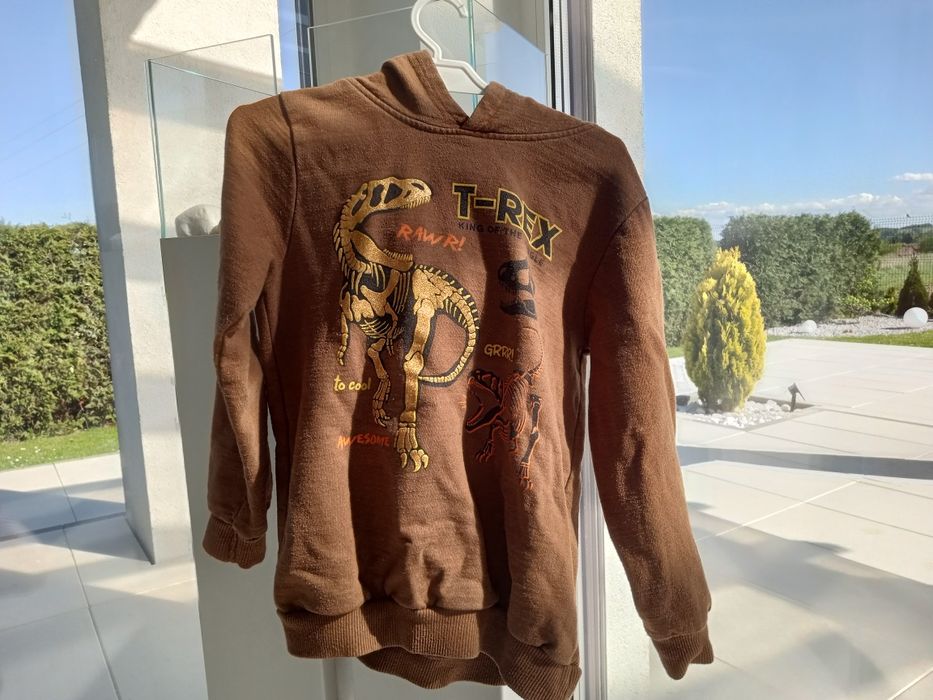 Bluza T-REX 122 chłopiec z kapturem Kiki&Koko