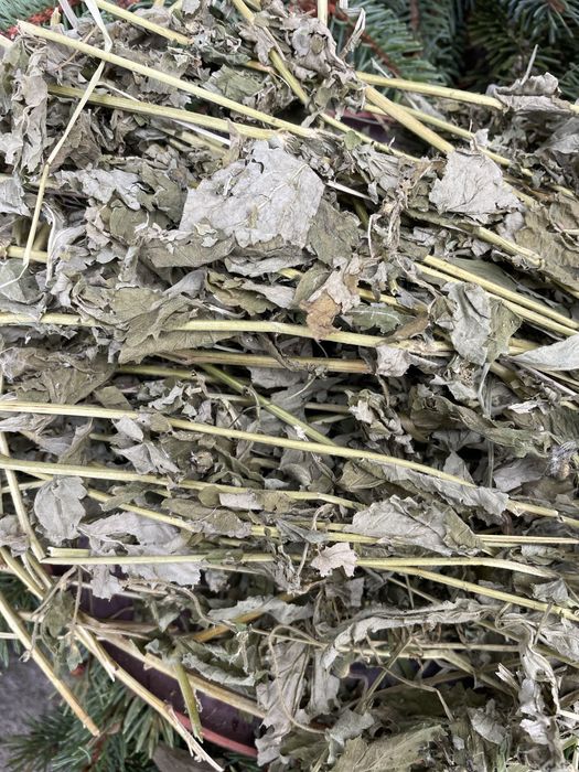 Сушений гравілат , трава гравілату