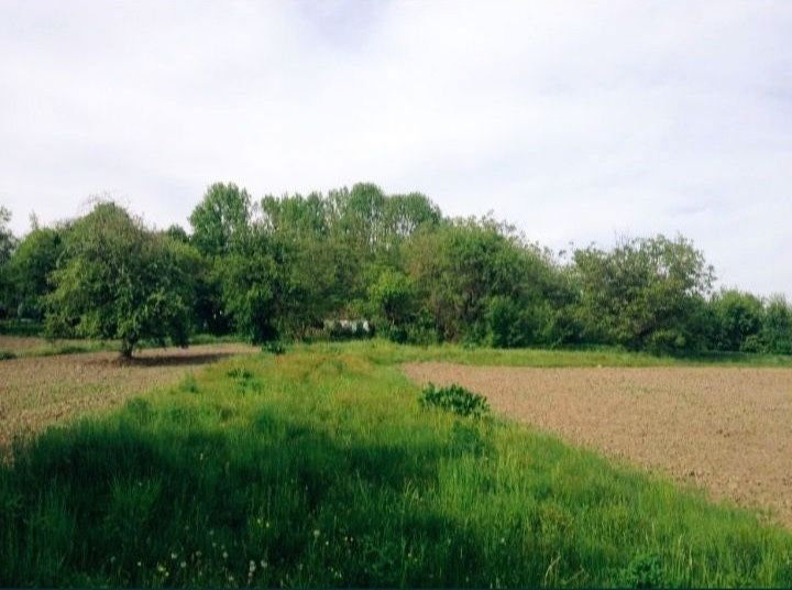 Пригород. Старый домик 50сот. У дороги.