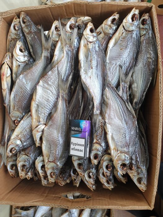 Плотва з ікрою.  Ікра толстолоб Густера Чехонь  Тарань сушена