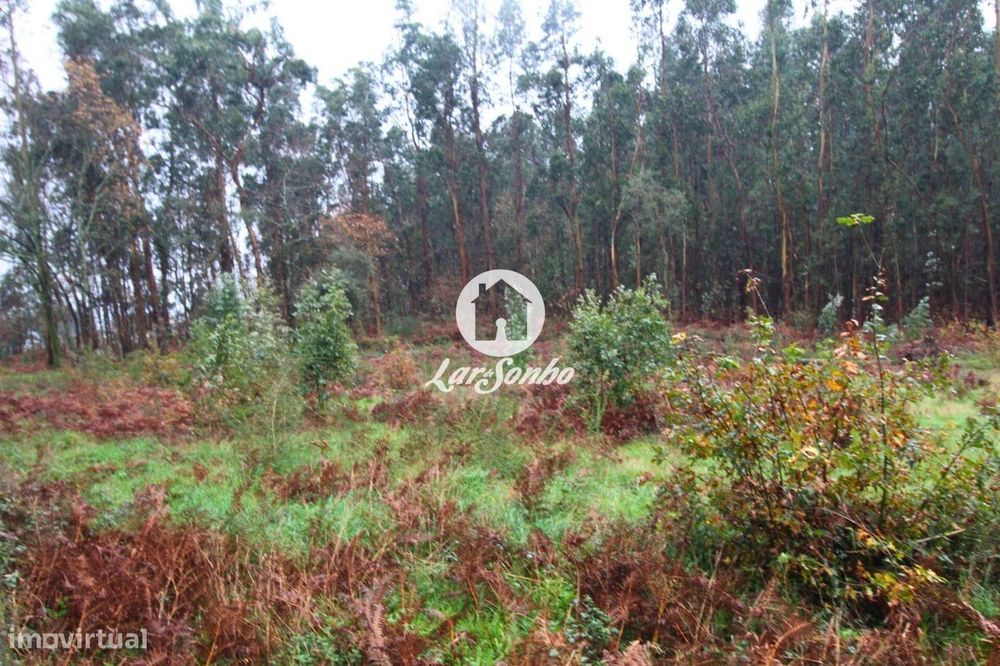 Terreno para Construção de moradias