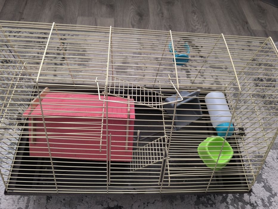 Клетка для грызунов, Хомяков