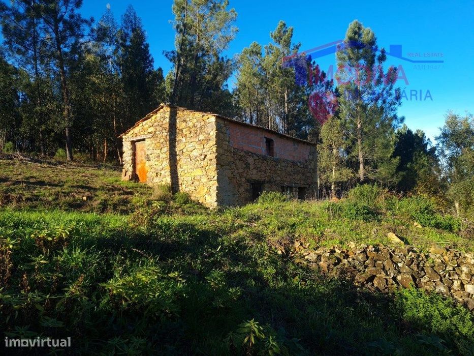 Terreno com ruínas, poço e plantação de pinheiros em Pedrógão Grande