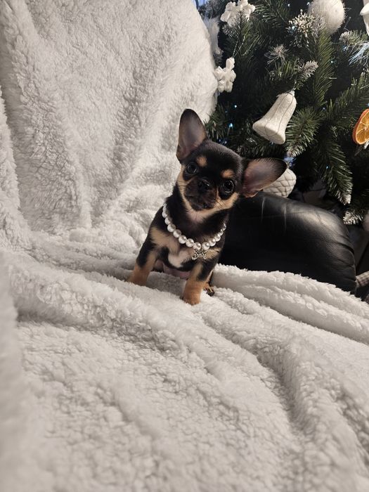 Prześliczna dziewczynka