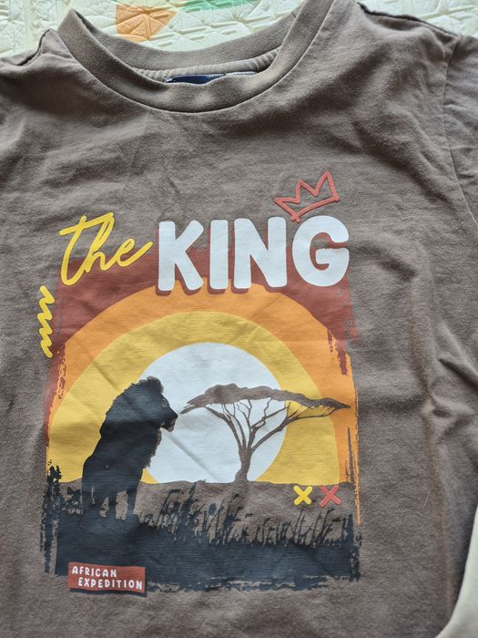 Conjunto verão Rei Leão 4A